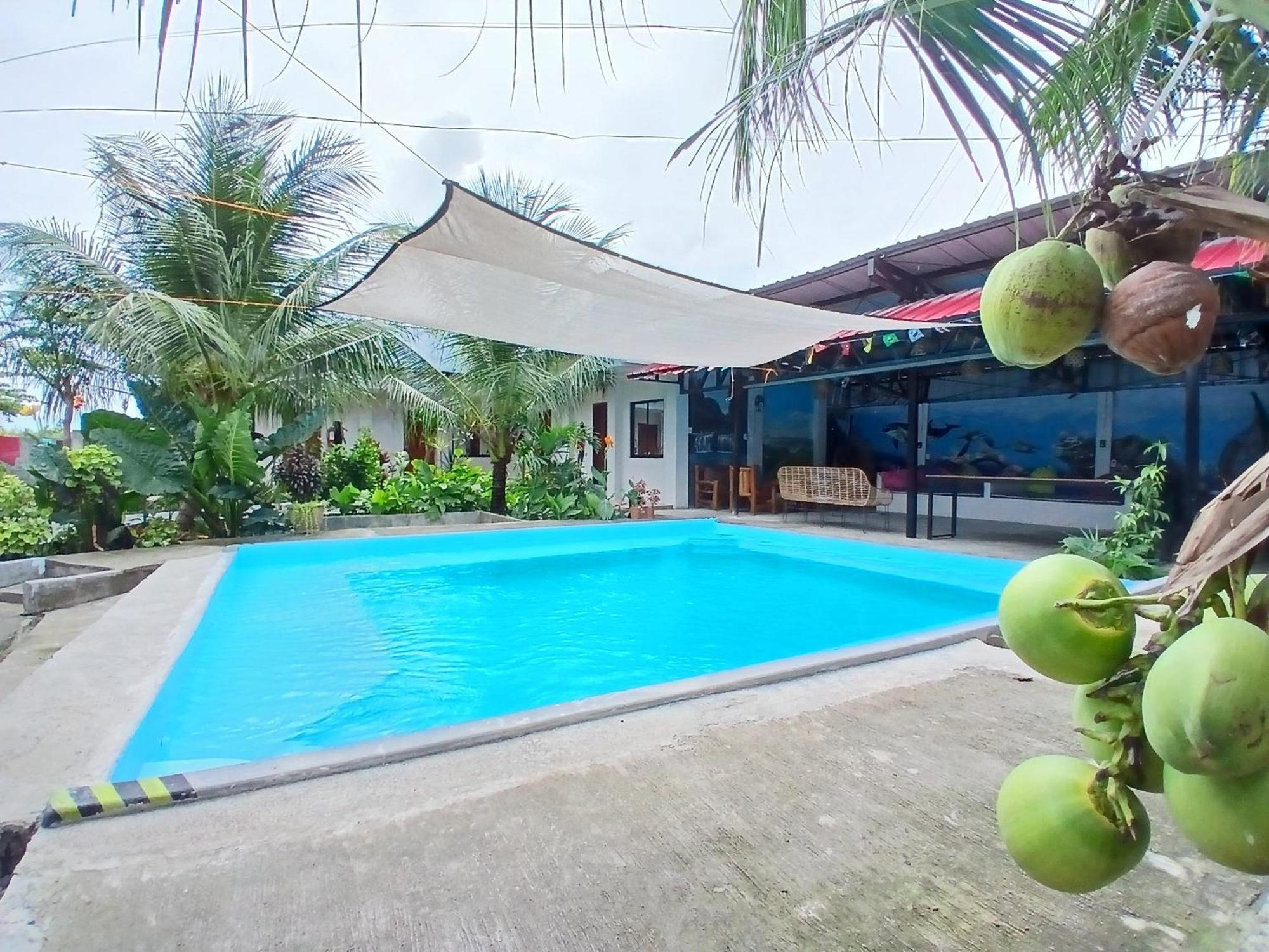 Ananas Guesthouse Moalboal Dış mekan fotoğraf