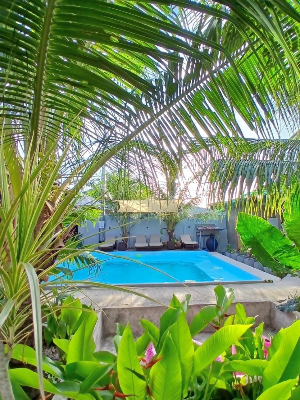Ananas Guesthouse Moalboal Dış mekan fotoğraf