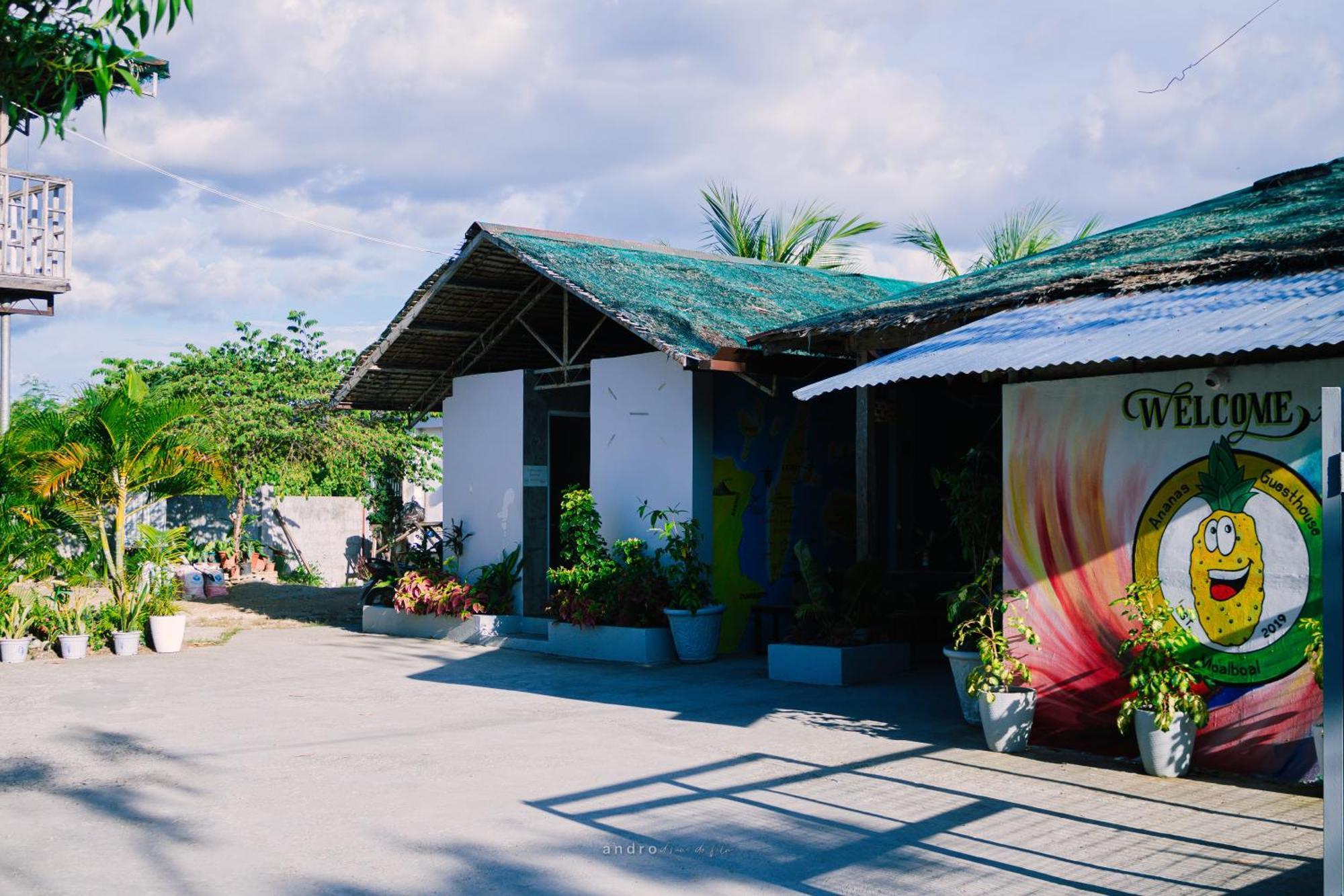 Ananas Guesthouse Moalboal Dış mekan fotoğraf